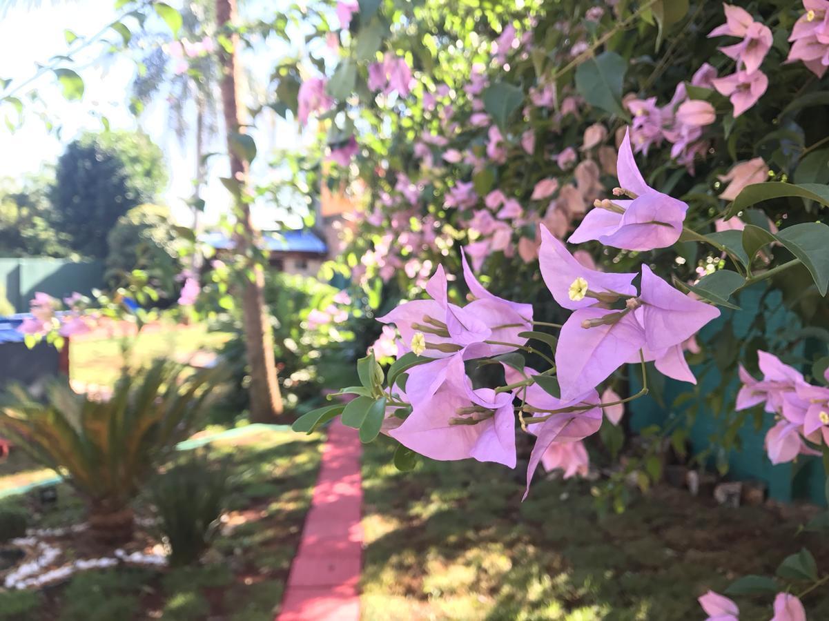 Hotel Amayal Puerto Iguazu Luaran gambar